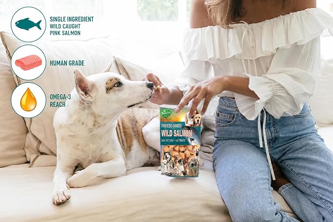 Freeze-Dried Wild-Caught Pink Salmon Treats for Dogs & Cats - Nutrient-Dense, Single-Ingredient Snack, Food Topper. Gluten-Free Weight Control, Training Bites, Allergy Friendly (2.5 Ounce, Salmon)