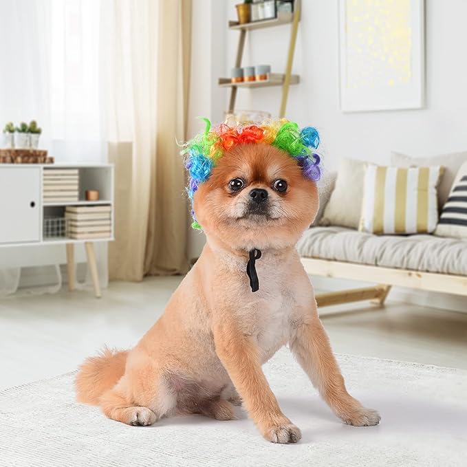 Funny Dog Cat Cosplay Wig, Headwear Apparel Toy, Pet Costumes, Cat Dress up for Halloween, Christmas, Parties, Festivals, Dog Wigs for Small Medium and Large Dogs (Colorful Clown Hair)
