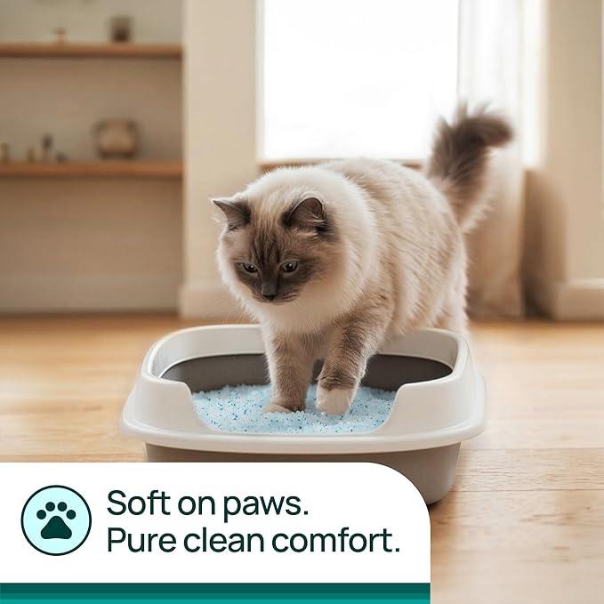 Litter Pearls Micro Fresh Scented Non-Clumping Crystal Cat Litter with Odorbond, 7 lb