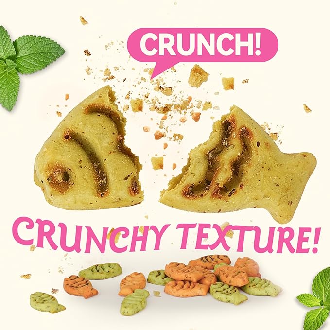 Catnip Cat Treats, Chicken & Salmon Flavor Crunchy Cat Biscuits, Fish-Shaped Training Snacks for Adult Cats, 16 oz
