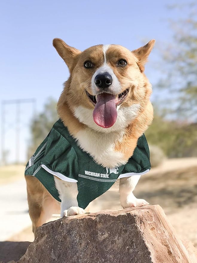 Pets First NCAA College Michigan State Spartans Mesh Jersey for DOGS & CATS, Small.Licensed Dog Jersey with your Favorite Football/Basketball College Team
