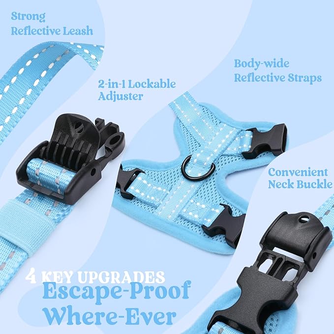 rabbitgoo Cat Harness and Leash, Escape Proof Vest with 3 Adjustable Buckles, Soft Comfortable Kitten Harness, Easy to Wear, Reflective for Safe Outdoor Walking, XS, Sky Blue