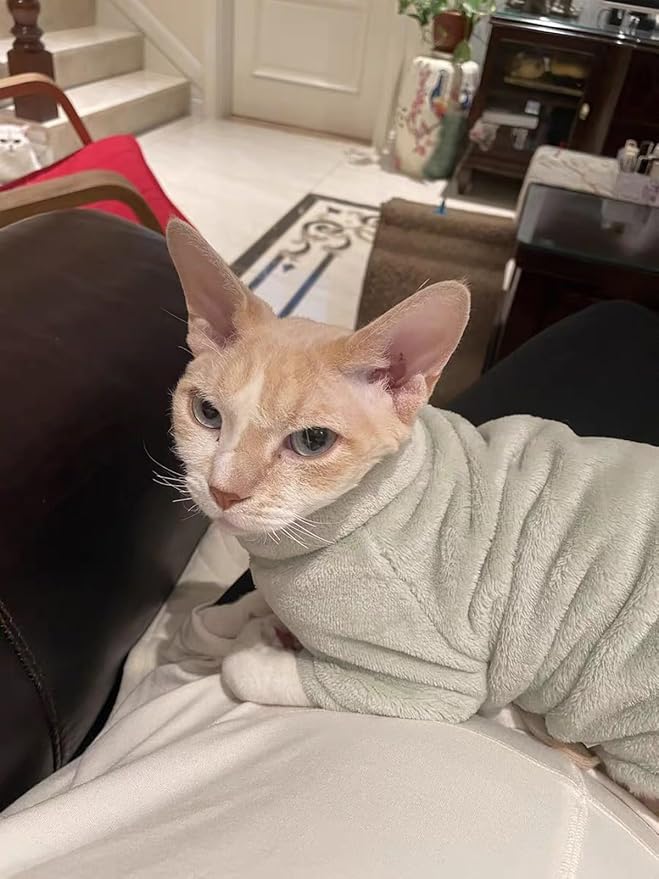 Sphynx Cat Clothes Winter Turtleneck Soft Coral Fleece Cat Clothes Thicken Warm Pajamas Coat for Hairless Cats and Small Cat Apparel with Sleeves (Forest Green, L (6-9.3lbs)