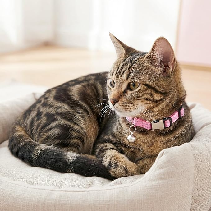 THAIN Cat Collars Reflective, 8 Colors Soft Adjustable Safety Kitten Collars with Bell, Lightweight Woven Polyester for Cats (No Breakaway)