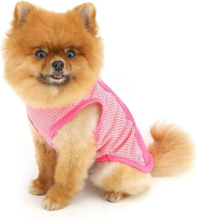 PAIDEFUL Breathable Mesh T-Shirt for Small Dogs Summer Doggie Cool Vest Soft Lightweight Puppy Tee Shirts Sleeveless Pet Tank Top Sweatshirts Cozy Chihuahua Clothes Cat Apparel D-Ring,Pink,L