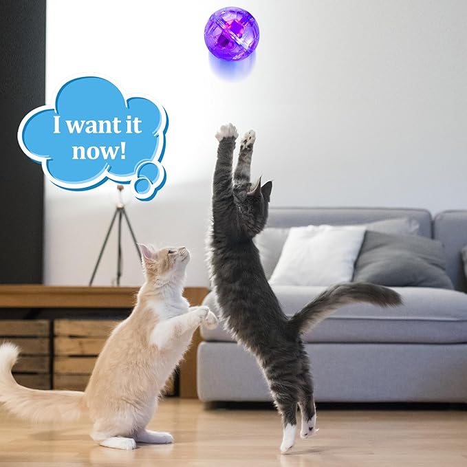 Sratte 2 Pcs Ghost Hunting Cat Ball Activated Cat Toy Motion LED Light Pet Balls Motion Dog Interactive Pet Toys Glowing Mini Running Exercise Supplies for Animals Activity (Pink,Purple)