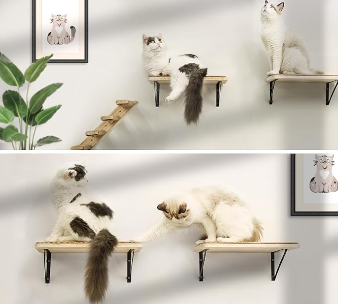 2PCS Cat Wall Shelves with Scratching Mat, 16.6x9.7 Inch Solid Pine Wood Wall Mounted Kitten Floating Shelf, Window Perch Hammock, Cats Wall Furniture for Cats Sleeping, Playing, Climbing