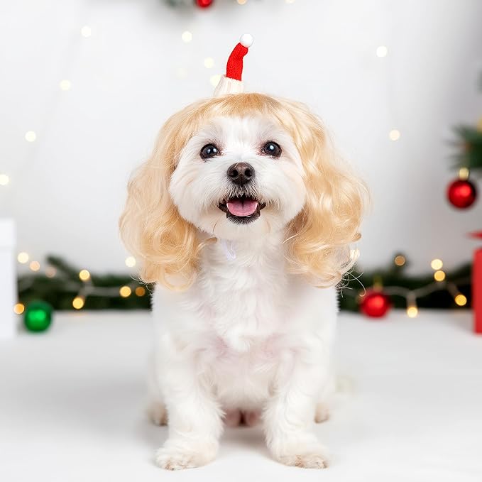 Christmas Dog Cat Pet Wig for Small Medium Large Dog Cosplay Costumes (Gold)