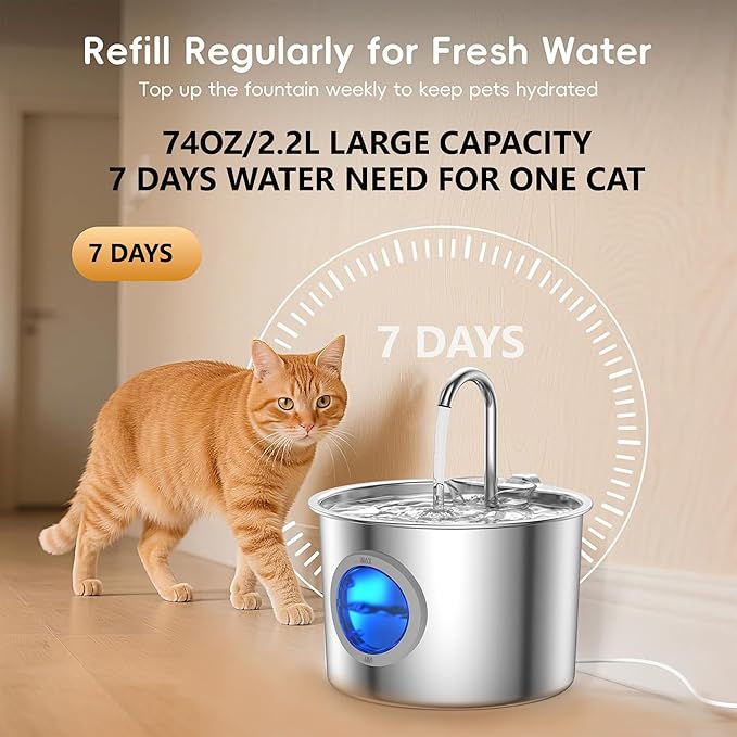 Premium Cat Water Fountain - Whisper-Quiet, 304 Stainless Steel, Smart Pump for Hydration Obsessed Cats | 74oz, 6 Filters Included (74oz Fountain+6 Filters +6 Sponges)