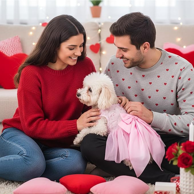 Valentine's Day Dog Dress Rose Tulle Tutu Skirt with Pink Bowknot for Small Dog Cat Valentine's Day Wedding Birthday Party Outfit