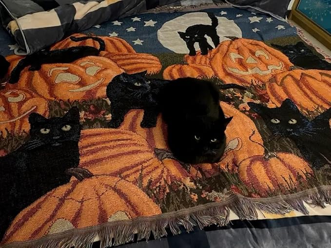 Halloween Blanket Black Cat Pumpkin Fall Couch Covers -Pet Blankets,Halloween Throw Blankets for Knitted Cat Lover Gift