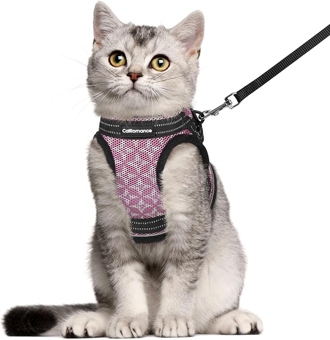 CatRomance Cat Harness and Leash Escape Proof for Walking, Safe Adjustable Large Kitten Vest Set with Reflective Strip for Kitty, Easy Control Comfortable Soft Outdoor Pet Harnesses, Pink, Large
