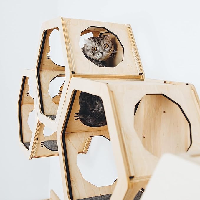 Wall Cat Shelves Wood Shelves Furniture - Wooden Shelf Wall Mounted Furniture - Indoor Cats Rustic Decor Lover Gift (Cat Wall Bed)