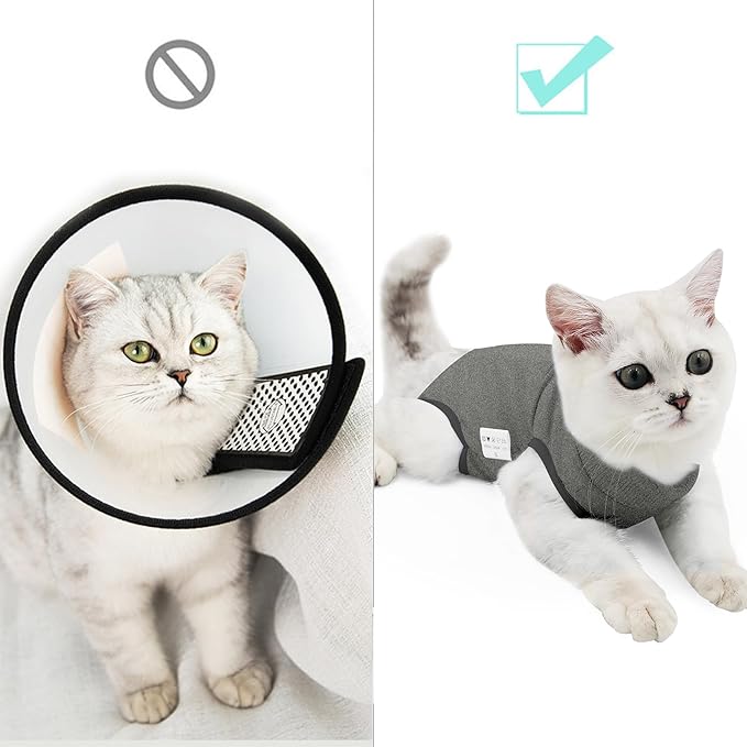 DOTON Cat Recovery Suit for Male and Female Surgical Post Surgery Soft Cone Onesie Shirt Clothes Neuter Licking Protective Diapers Outfit Cover Kitten Spay Collar(L, Grey)
