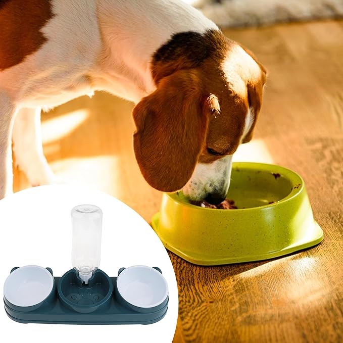 Elevated Double Bowl Pet Feeders with Automatic Water Dispenser Antislip Base for Dog Cats Daily Feeding Watering Supply Automatic Water Dispenser Pet Bowl