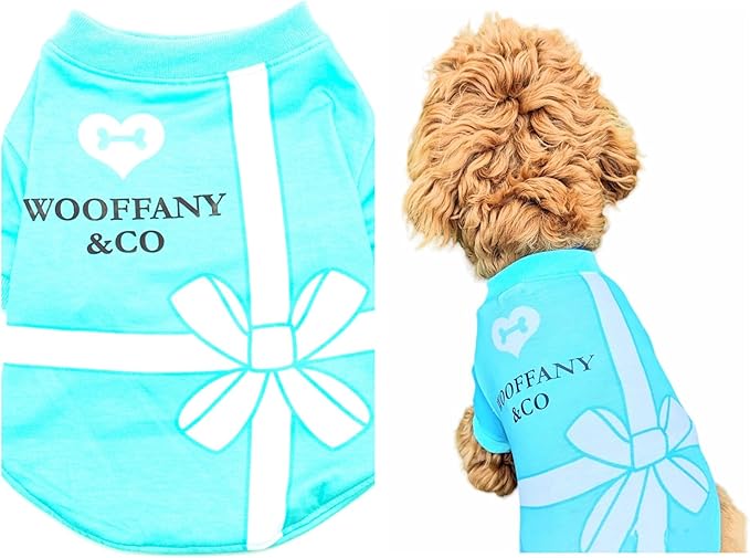 Luxury Designer Dog T Shirt – Cute Puppy Clothes for Small Dogs, Fashion Pet Tee Outfit for French Bulldogs & Chihuahuas, Everything Chic Dog Apparel
