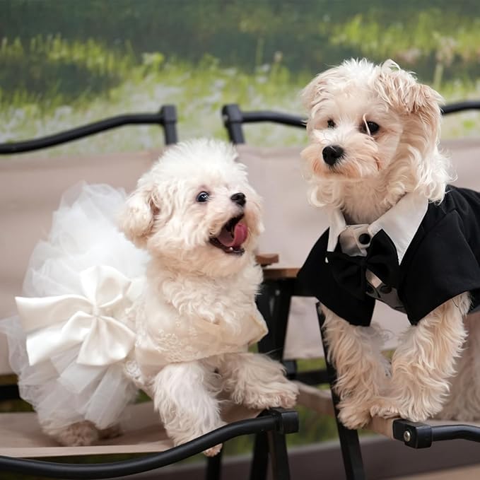 Dog Dress,Pet Wedding Dress Princess Formal Tutu Skirt with Bowknot,Puppy Birthday Party Outfit Apparel Girl for Small Dogs Cats (White Lace, X-Small)