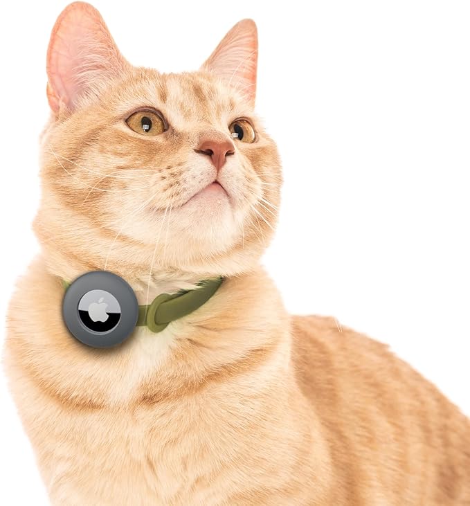 Airtag Silicone Cat Collar - Soft, Comfortable, and Lightweight Breakaway Collar with Air Tag GPS Tracker Holder for Outdoor Cats and Sensitive Skin Kittens by Nuvuq (6 ⅞" to 10 ¼", Green)