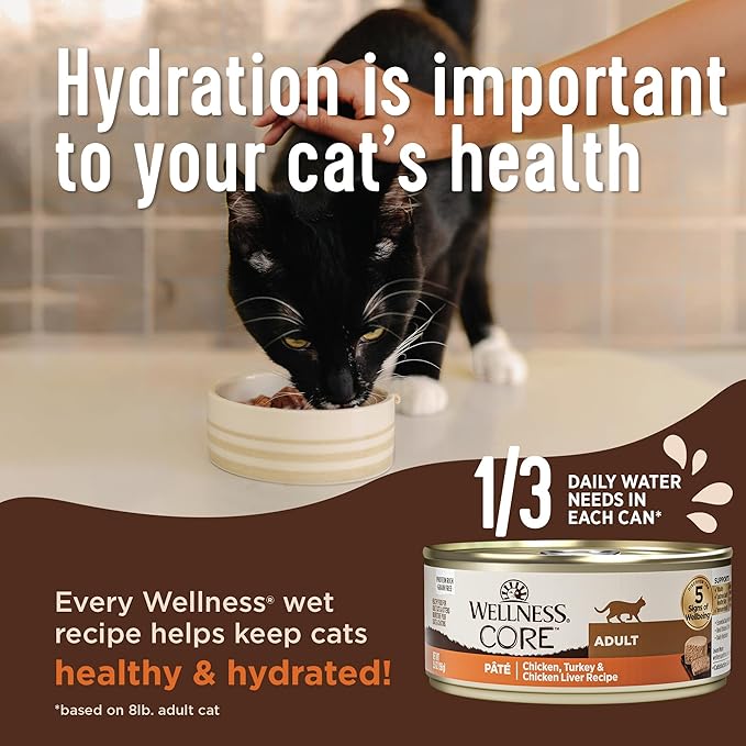 Wellness CORE+ Digestive Health Pate Variety Pack Adult Canned Wet Cat Food, Natural, Protein Rich, Grain Free, Chicken and Turkey Recipes, 3 oz, Pack of 12 Cans