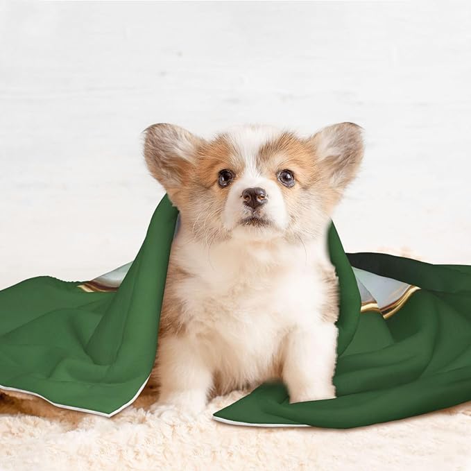 Cat Dog Blanket Cartoon Clover Leaf with Gold Rim Ultra Soft Warming Mat for Indoor Pet Beds Furniture 27.6 X 19.7inch