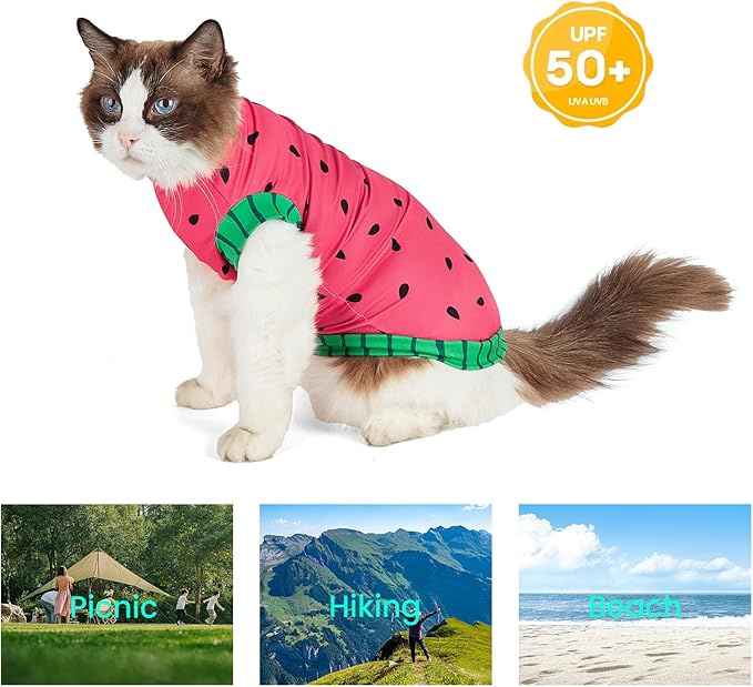Sphynx Cat Watermelon Shirt &Sun Hat for Summer, Cooling Breathable UPF 50+ Shirt for Cats & Small Dogs Apparel, Shirt and Hat Set for Cats (S (2-3.5lbs))