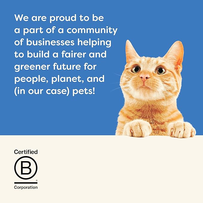Applaws Natural Wet Cat Food, 24 Pack, Limited Ingredient Canned Wet Cat Food, Tuna Fillet in Broth, 2.47oz Cans