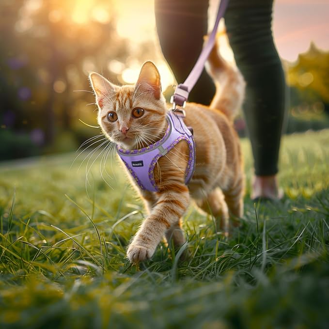 Rttochfy Cat Harness and Leash Set, Escape Proof Kitten Harness, Soft and Breathable Vest with Reflective Strip, Easy to Wear for Cats Walking and Traveling (Black, L)