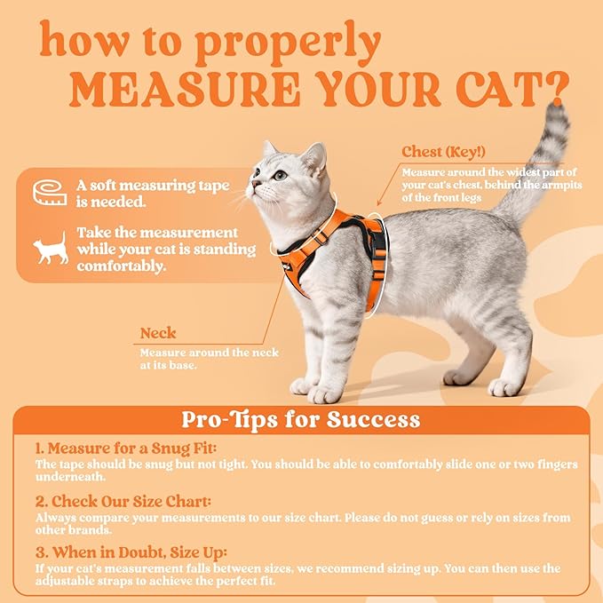 rabbitgoo Cat Harness and Leash for Walking, Escape Proof Soft Adjustable Vest Harnesses for Cats, Easy Control Breathable Reflective Strips Jacket, Orange, XXS