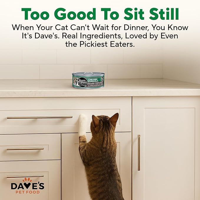 Dave's Pet Food Grain Free Wet Cat Food Pate (Chicken Formula), Made in USA Naturally Healthy Canned, Added Vitamins & Minerals, 5.5 oz Cans (24 Pack)