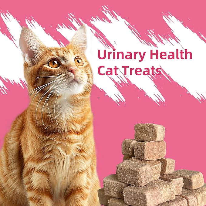 Cat Urinary Treats for Bladder Health,Chicken Flavor Grain-Free Soft Snacks,High-Protein Cat Training Rewards for Indoor Cats, 60g/2.11oz
