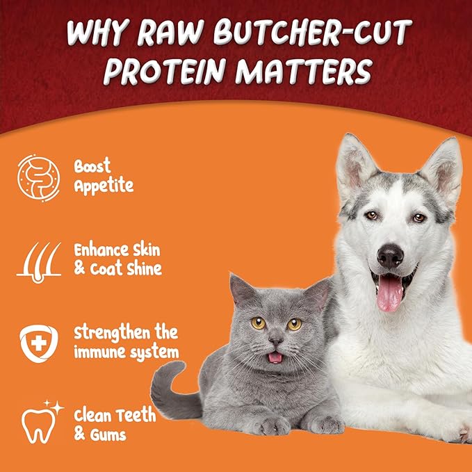 Freeze Dried Minnows for Dogs & Cats, Single Ingredient Human Grade Fish Treats, Wild Caught High Protein Training Rewards (8 Ounce)