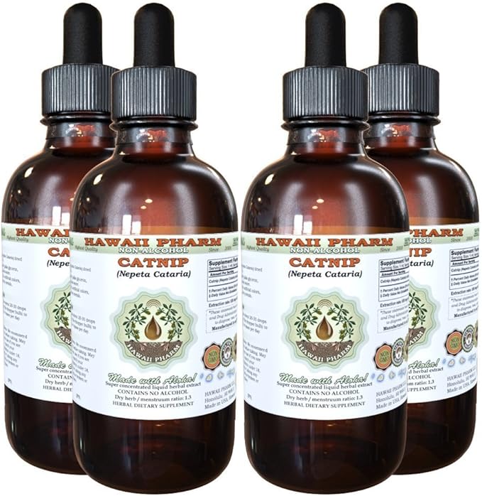 Catnip Alcohol-Free Liquid Extract, Catnip (Nepeta Cataria) Dried Leaf and Flower Glycerite Hawaii Pharm Natural Herbal Supplement 4x4 oz