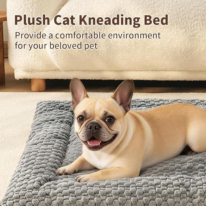 SOMAHE Cat & Dog Bed Mat, Soft Plush Flat Cat Bed with Non-Slip Bottom, 1.2" Thick All-Season Kneading Cushion, Machine Washable Pet Bed for Cats & Small Dogs 20×27Inch, Grey