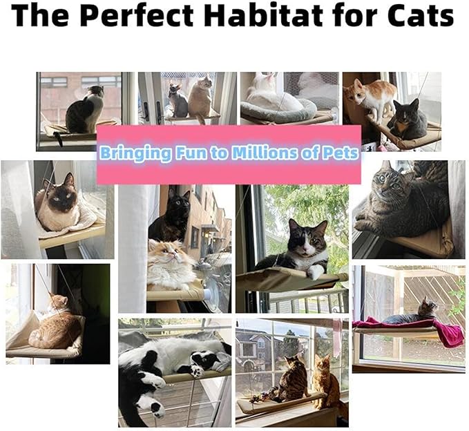 Cat Purrfect Perch, 2023 New Cat Bed Window, Cat Window Hammock Window Perch, Safety Cat Shelves Space Saving Window Mounted Cat Seat for Window Perch for Large Indoor Cats (E-Black)