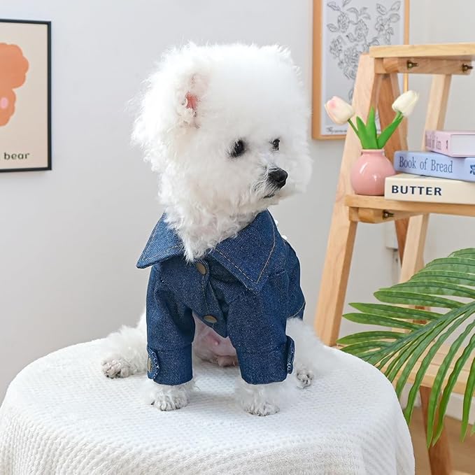 Cute “Kiss Me” Dog Denim Jacket, Fashion Pet Outfit with Pearl Details, Adorable Puppy Clothes for Small Dogs & Cats, Perfect Photo Outfit & Gift(XL)