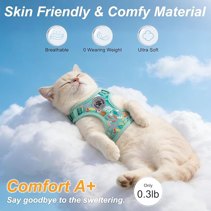 BEAUTYZOO Cat Harness and Leash Set for Walking Escape Proof, Neck Release Adjustable Harnesses for Kitten Puppy Small Medium Large Cats, Soft Cute Easy Control Small Cat Harness for Cats Boy Girls