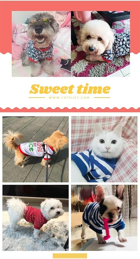 2 Pieces Dog Shirts with Breathable and Comfort Small Medium Dog Clothes Outfits for Small Puppy Cat Pets (Medium, White Dots, Blue Stripes)