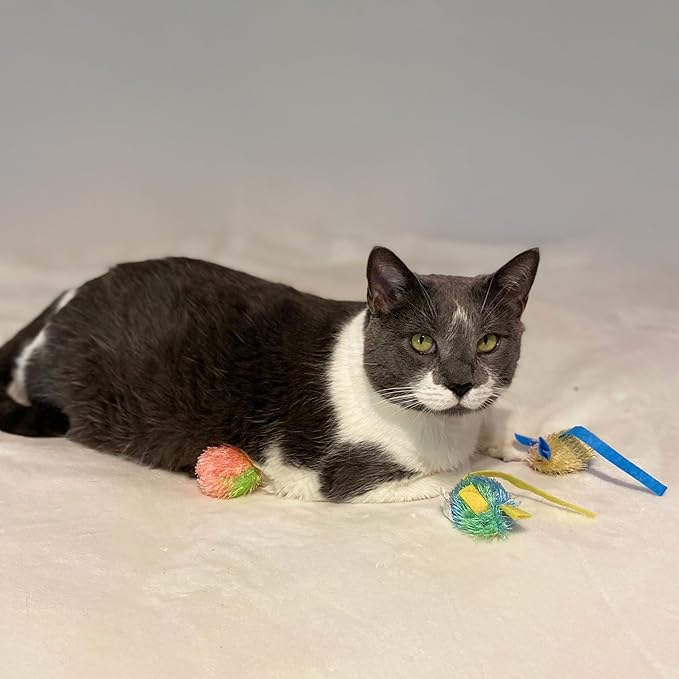 SPOT Stringy Mice & Balls - Catnip Cat Toys, Interactive, Colorful Plush Toys, Fun for Cats and Kittens to Bat and Chase, Boredom Buster - 2 Mice, 2 Balls (Pack of 2)