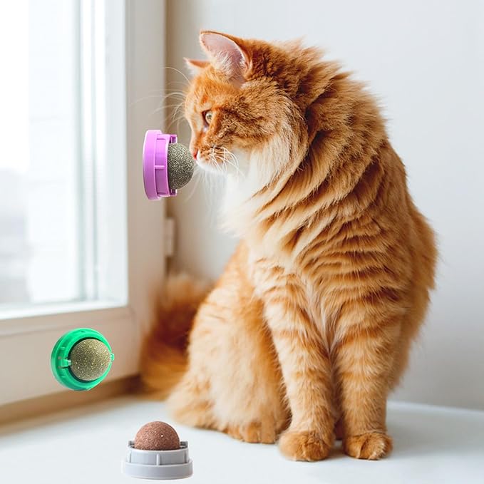 6PCS Catnip Balls for Cats Wall Edible Cat Toys with Catnip Silvervine Gall Fruit Flavors for Cat Lick Safe Teeth Cleaning Dental Cat Toy