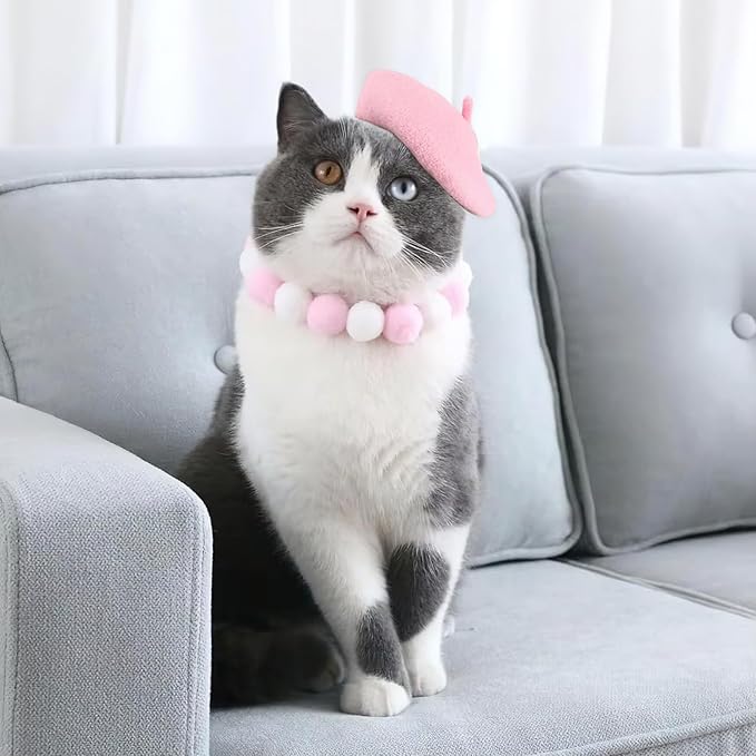 Pet Cat Dog Beret Hat Funny Artist Wool Beret Hat Pet Headwear Fashion Accessories for Winter Birthday Party (Pink)