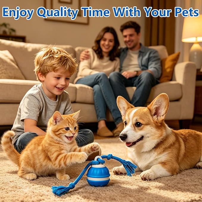 Interactive Dog Ball, 360° Self-Moving Dog Toy with LED Lights & Squeaker, Automatic Fetch Toy for Boredom & Training, USB-C Rechargeable Smart Pet Toy for Small Medium Dogs & Cats