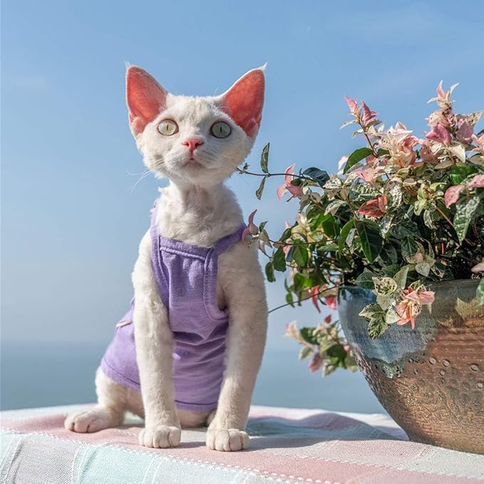 Hairless Cats Solid Cotton Camisole, Breathable Summer Tank Tops for Sphynx, Cornish Rex, Devon Rex, Peterbald, Cat Wear Hairless Cat Clothes Soft Skin-Friendly Cats Apparel Assorted Colors and Sizes