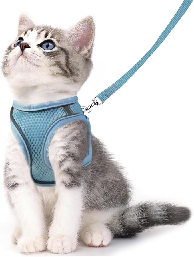 Cat Harness and Leash Set - Adjustable Soft Vest, Reflective Step-in Design for Safe Walking (Blue)