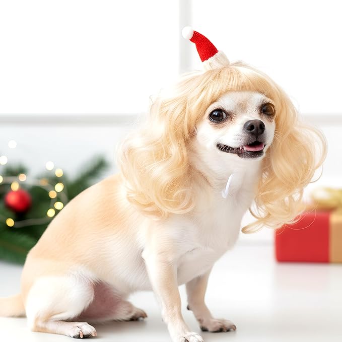 Christmas Dog Cat Pet Wig for Small Medium Large Dog Cosplay Costumes (Gold)