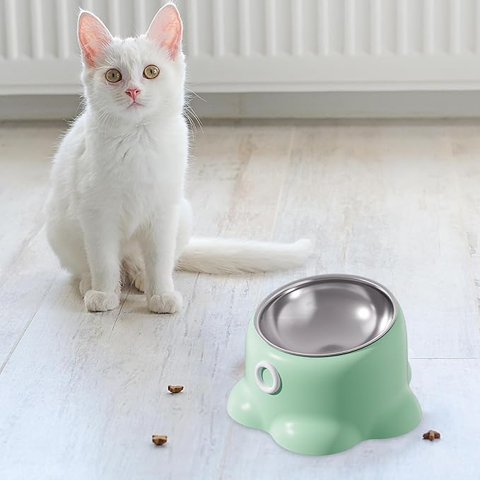 Gralara Tilted Cat Feeder Bowl, Feeding Dish Home Indoor Watering Versatile Food Dispenser, Removable Stainless Steel Bowl for Puppy, Green