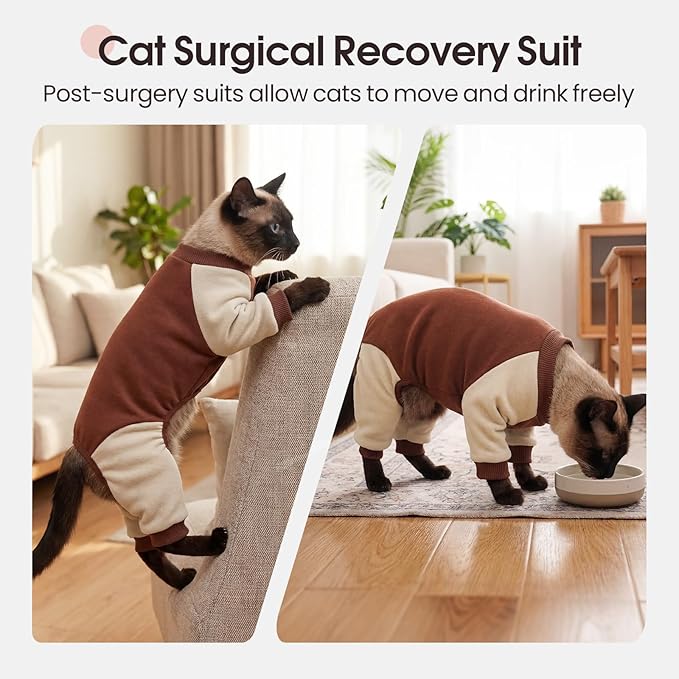 DENTRUN Cat Recovery Suit with Legs - Shedding Control & Anti-Licking Onesie, Stretchy Surgical Recovery Suit Cute Cat Clothes Indoor Soft Material for Comfort and Warmth for Pets