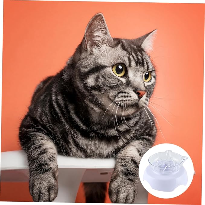 Elevated 15° Tilted Plastic Cat Food Bowl with Neck Protection High Base Pet Feeder for Cats Feeding and Watering