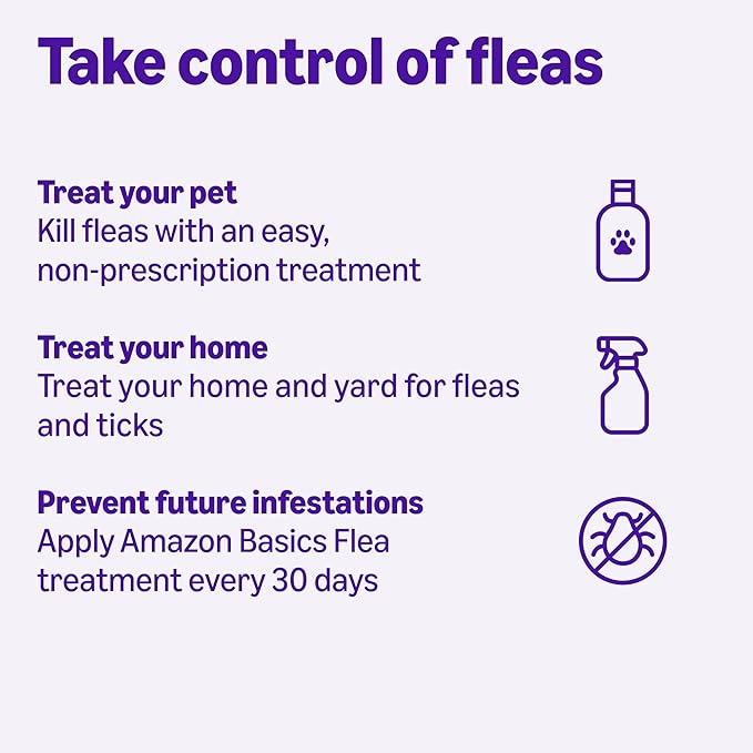 Amazon Basics Preventative Topical Flea Treatment and Prevention for Large Cats (Over 9 Pounds), Kills Fleas Within 12 Hours, 6 Count