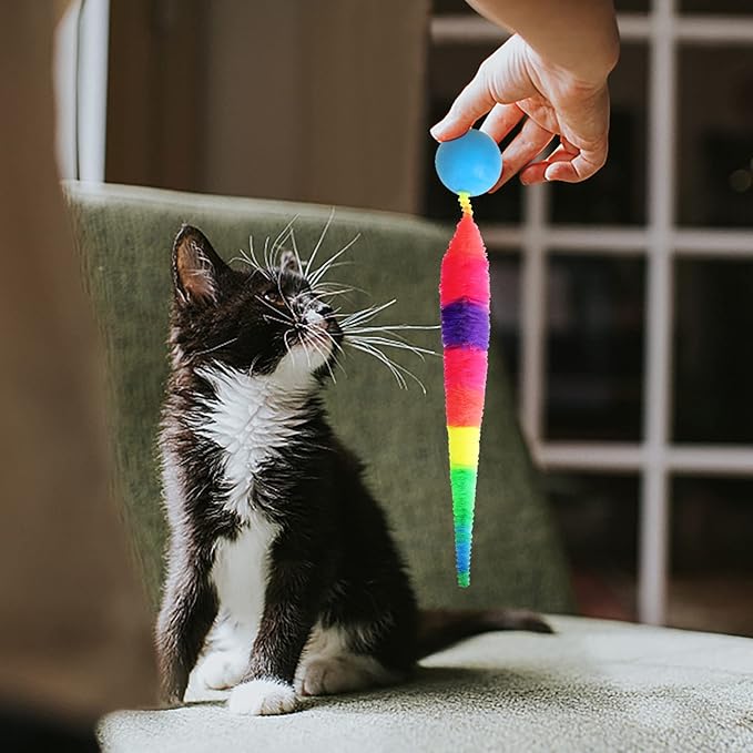 SHENGSEN Bouncy Ball with Tail Cat Toys-5 Packs,Rainbow Small Magic Worm with Ball Toy for Cats,Colorful Fuzzy Worm Bouncy Balls Cat Toy