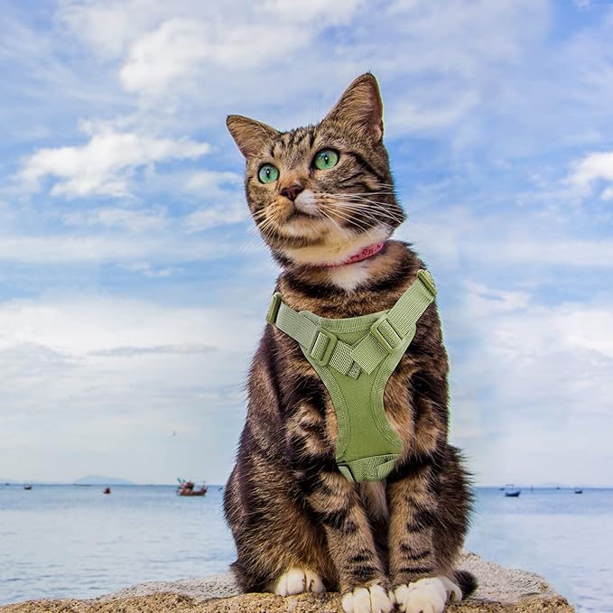 AIWAI Tactical Cat Harness for Walking Escape Proof, Adjustable Pet Vest Harness with Control Handle for Large Cat Small Dog, Soft Mesh, Gift with Patch